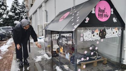 Soğuk kış günlerinde kediler için ısıtmalı yuva yaptılar