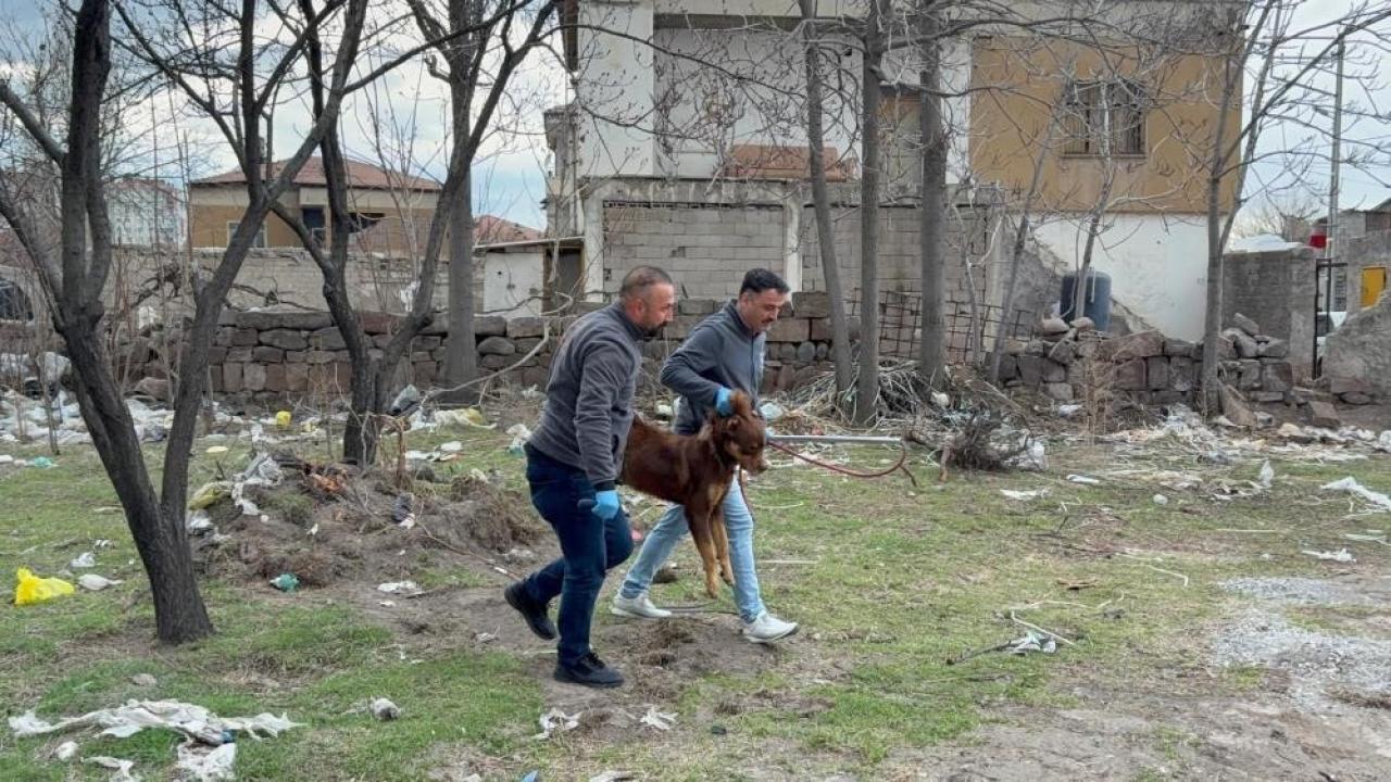 Belediyeler ve valilikler de sorumlu!