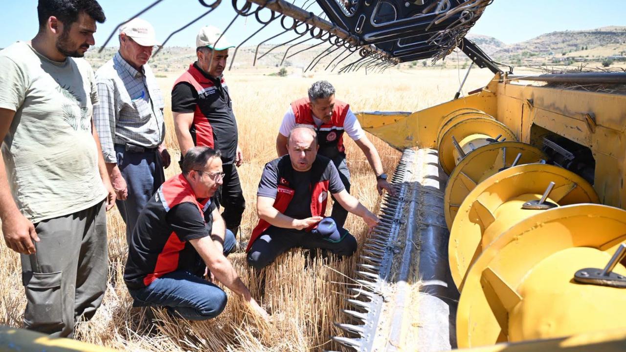 Hasatta kayıpların önüne geçmek için kontroller sürüyor
