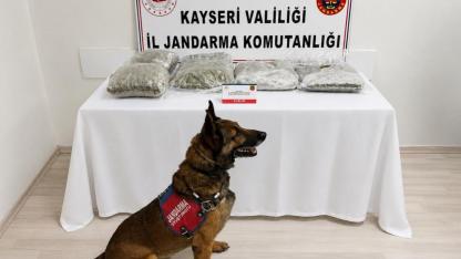 Kayseri’de 1 kişiye uyuşturucu gözaltısı